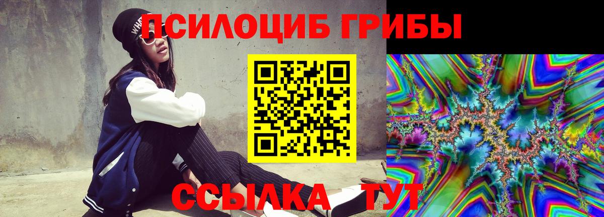 Псилоцибиновые грибы MAGIC MUSHROOMS  Псилоцибиновые грибы Cubensis  что такое   Лыткарино  Вход с VPN 