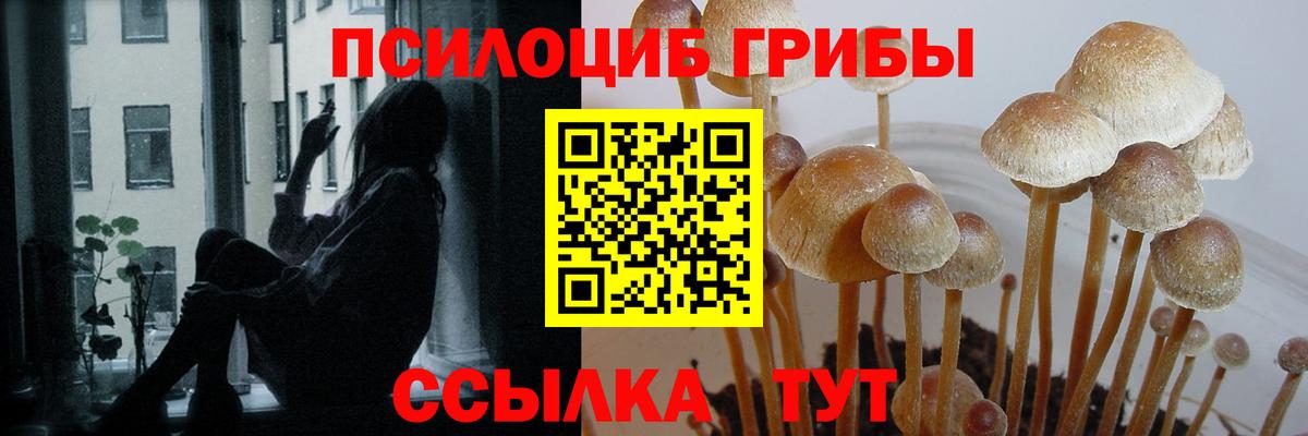 Галлюциногенные грибы GOLDEN TEACHER Лыткарино