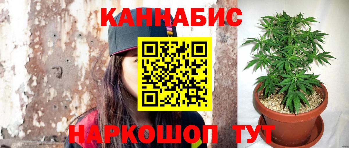 Конопля OG Kush Лыткарино